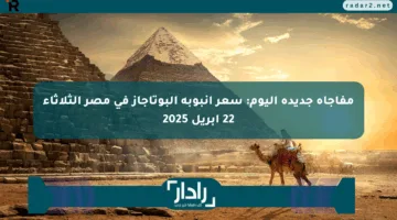 مفاجأة جديدة اليوم: سعر أنبوبة البوتاجاز في مصر الثلاثاء 22 أبريل 2025
